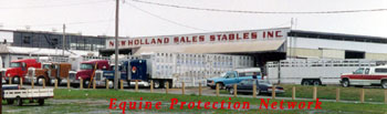 Trailers lined up at the loading dock to load horses destined for slaughter.